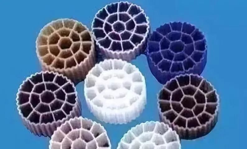 11192708GURNXV.jpg