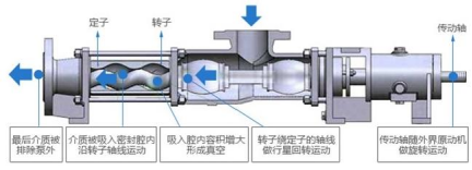螺杆泵结构零件展示