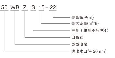 WBZS不锈钢化工自吸式耐腐蚀泵型号