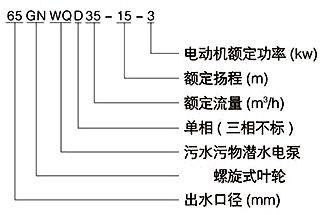 30090605FLZVV8.jpg