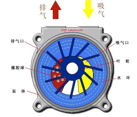 2BV2060 2BV2061 2BV2070 2BV2071 2BV5110 2BV5111 2BV5121 2BV5131 2BV5161 2BV6110 2BV6111 2BV6121 2BV6131 2BV6161水环真空泵